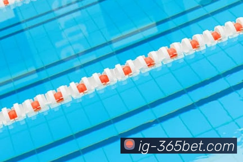 365betAPP 高清赛事图